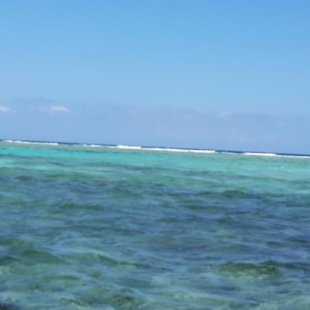 Wild Panther'S Guest House & Hostel Caye Caulker Exterior foto